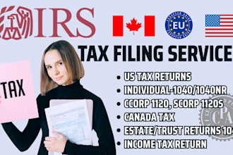 prepare and efile US 1040, 1120, 1065 and canada t2 tax returns as CPA