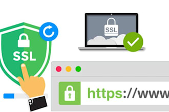 do wordpress SSL certificate, fix https errors, and fix any site issues