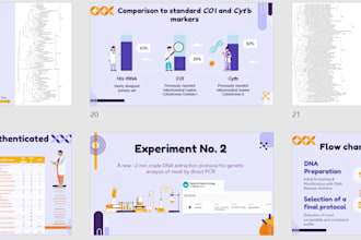 create professional academic powerpoint presentation slides