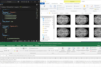 convert dicom nifti nii niigz to png extract metadata CSV json npy