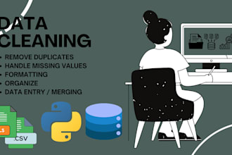clean and format your data using excel, python, or sql
