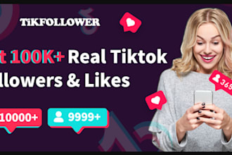 manage tiktok marketing and promotion for organic follower growth