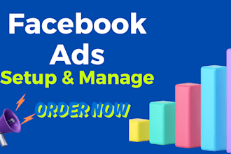 setup meta ads campaign and meta ads management