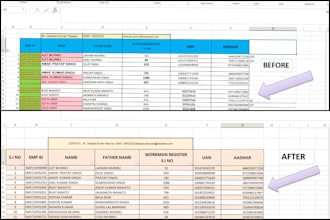 fast excel data entry, formatting, and cleaning in 24 hours