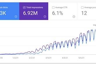 provide monthly local SEO services for top google rankings