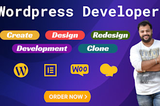 be your expert wordpress and elementor pro developer
