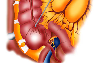 draw biological science diagrams and abstracts for books