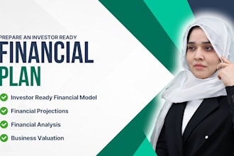 prepare an investor ready business plan, financial plan, financial model