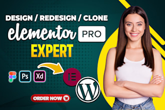 design, redesign, clone wordpress website as an elementor pro expert