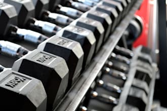 personalized training and nutrition plan
