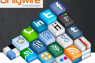 set up a HIGH quality onlywire account for you