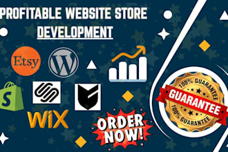 design rebuild profitable wix bigcartel shopify ecwid squarespace website store