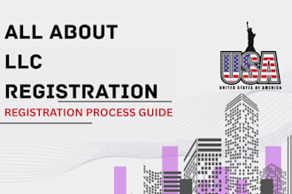 give consultancy to setup llc and boi registeration