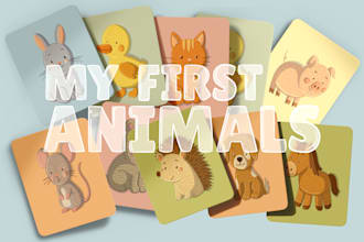 draw kids flash cards, learning cards, bingo games, memo cards, and alphabet set