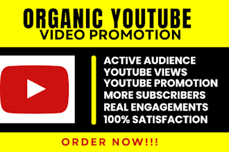 do youtube channel promotion shoutout on 300m organic subscribers