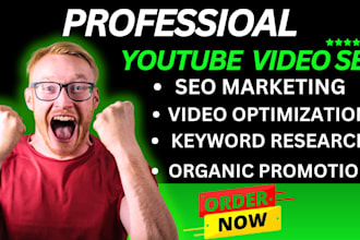 do best youtube video SEO expert optimization for fasting ranking
