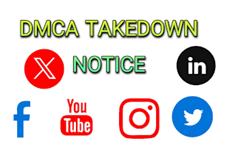 send a professional dmca takedown notice to protect your content