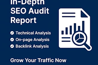 do in depth SEO audit report and optimization