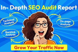 do in depth SEO audit report and optimization