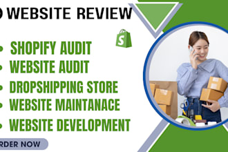 do shopify audit store manager website development ecommerce website audit
