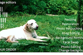 professionally edit and enhance your ai generated images