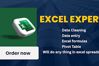 be your excel expert data analysis formulas pivot tables and automation