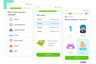 build language learning app like duolingo, foreign language app, educational app