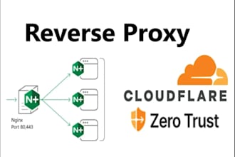 set up domain, dns, cloudflare, SSL, CDN, and zero trust security