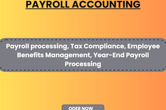 do professional payroll accounting