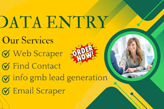 do instant data entry va work as web scraper find contact info gmb lead finding