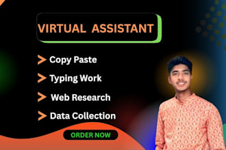 be your virtual assistant for data entry, data mining, copy paste, web research
