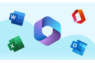 provide expert IT support for office 365 and system issues
