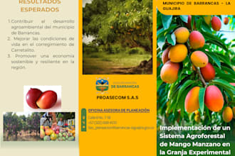 brochures that speak  diseño visual con impacto