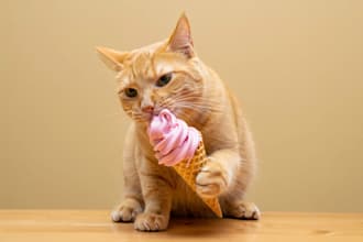 make unique animal art featuring pets in sports or eating