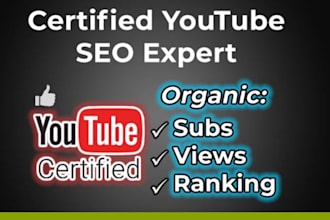 do complete youtube SEO to rank videos and grow your channel