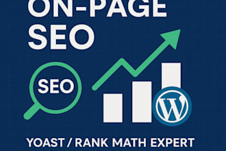 complete on page SEO optimization for your wordpress website