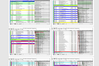 do planning and prepare schedules on primavera p6 or ms project