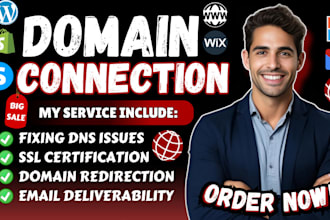 connect godaddy domain to shopify website, google workspace email, or fix dns