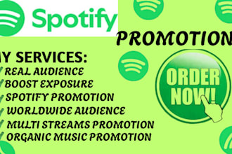 grow real spotify streams with organic music promotion worldwide
