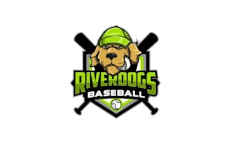 create baseball team identity young men logo