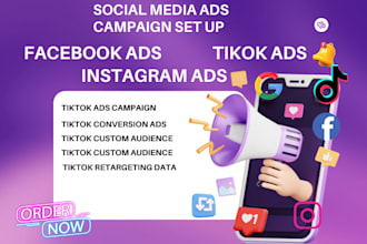 tiktok ads facebook ads and instagram ads manager and ads campaign in 24 hours