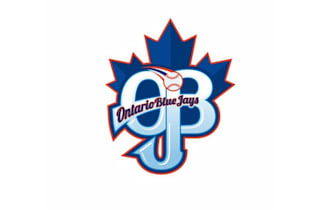 design elite baseball team logo