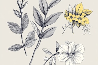 draw botanical vector illustration of plants and flowers