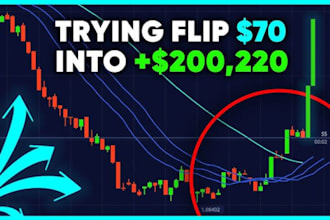 provide profitable bitcoin trading strategy for you