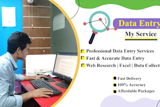 do data entry, web research, convert pdf to word, ms, excel