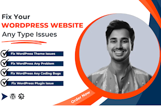 fix your wordpress website bugs, issues, critical errors and more