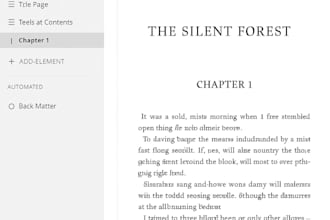 book formatting for amazon KDP