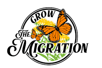 create high quality butterfly logo design for your company