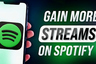 do professional spotify music promotion with ads campaign