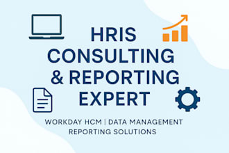 provide expert hris consulting and reporting solutions